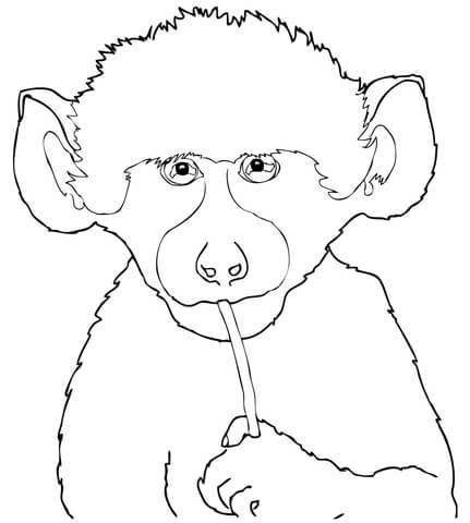 Cute Baby Baboon Coloring Page